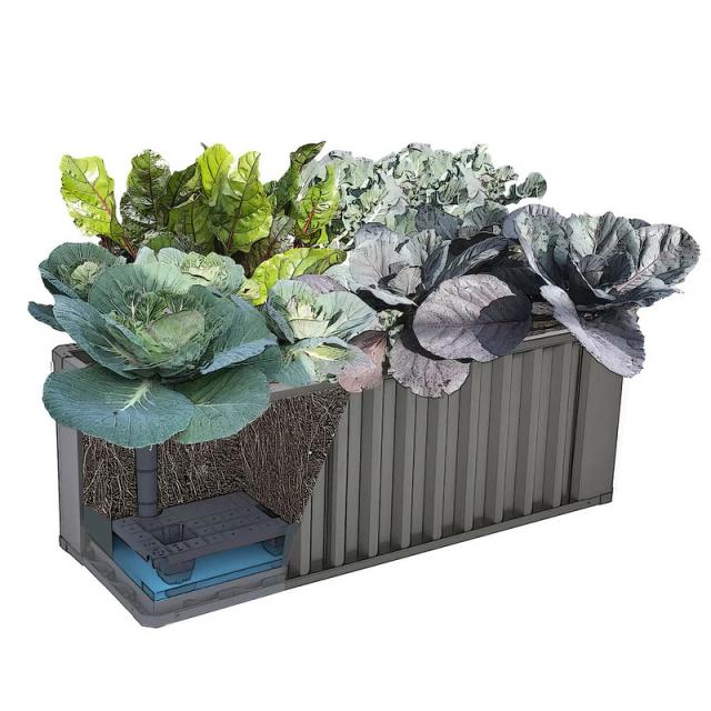 WaterUps Oasis 1240 Wicking Bed